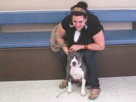 Which is the Vicious animal?